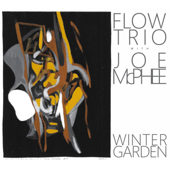 Winter Garden (with Joe McPhee) - Flow Trio