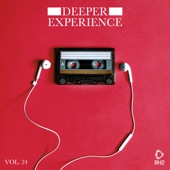 Deeper Experience, Vol. 24 artwork