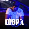 Cobra - Single, 2020