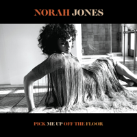 ノラ・ジョーンズ - Pick Me Up off the Floor artwork