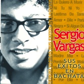 Sergio Vargas: Sus Exitos en Bachata artwork