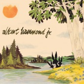 Albert Hammond Jr. - In Transit