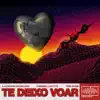 Te Deixo Voar (feat. Duani) - Single album lyrics, reviews, download