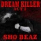 Survive the Night (feat. E The Rapper) - Sho Beaz lyrics