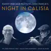 Night in Calisia (feat. Wlodek Pawlik Trio, Kalisz Philharmonic Orchestra & Adam Klocek) album lyrics, reviews, download