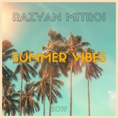 Summer Vibes artwork