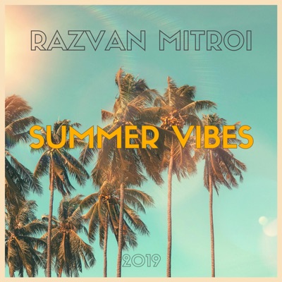 Summer Vibes Razvan Mitroi Shazam