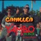 Canillea (feat. Ale6) artwork