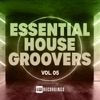 Essential House Groovers, Vol. 05