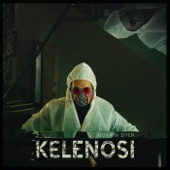 Kelenosi artwork