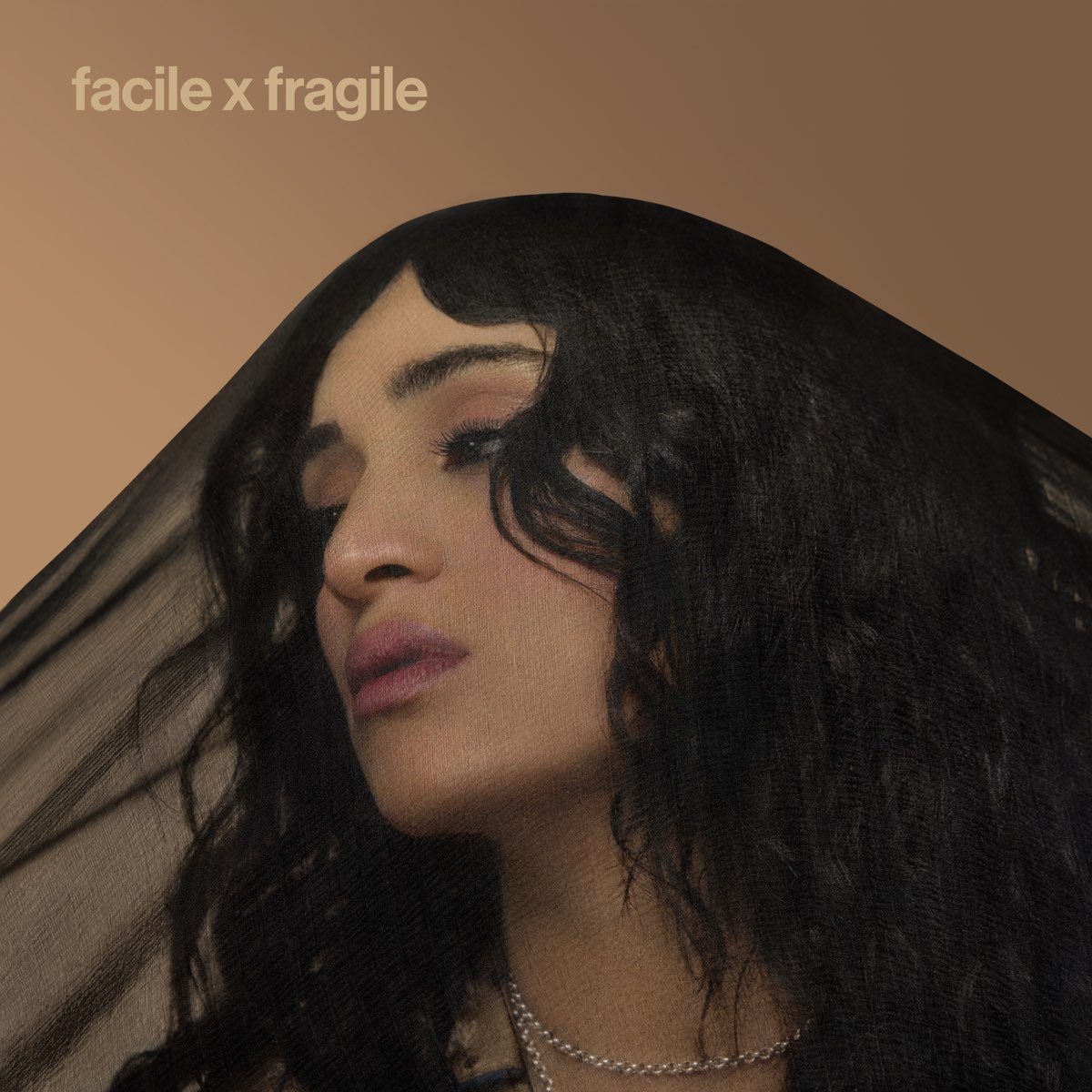 Facile X Fragile Von Camelia Jordana Bei Apple Music