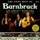 Barnbrack-The Fly