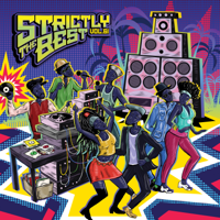 Various Artists - Strictly The Best, Vol. 61 artwork