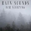 Rain Sounds For Sleeping - Single album lyrics, reviews, download