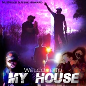 Welcome to My House artwork