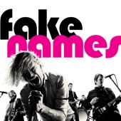 Fake Names - Brick