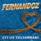 Ett liv tillsammans - Fernandoz lyrics