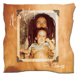 Mr. Marley - Damian &quot;Jr. Gong&quot; Marley Cover Art