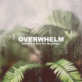 Overwhelm artwork