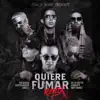 Quiere Fumar (feat. Miky Woodz, De La Ghetto & Almighty) [Remix] song lyrics