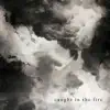 Caught in the Fire - Single album lyrics, reviews, download