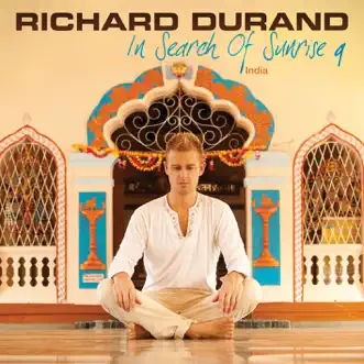 Diamonds In the Sky (feat. Julie Thompson) by Richard Durand song reviws