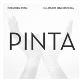 Pinta (feat. Barry Likumahuwa) artwork