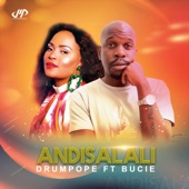 Andisalali (Amapiano Mix) [feat. Tshego AMG & Bucie] artwork