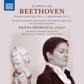 Beethoven: Piano Transcriptions artwork