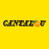Cantalou artwork