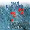 Yedi Karanfil, Vol. 3 (Seven Cloves Enstrumantal) album lyrics, reviews, download