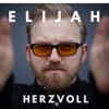 Herzvoll - Single