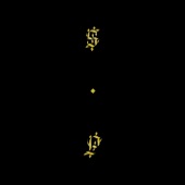 Shabazz Palaces - Swerve... The Reeping of All That Is Worthwhile (Noir Not Withstanding)