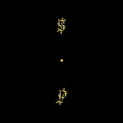 Black Up by Shabazz Palaces album reviews, ratings, credits