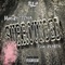Surrounded (feat. Bla$ta) - Manii Betcha lyrics