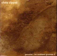 Nu Ambient Grooves 2 by Chris Zippel album reviews, ratings, credits