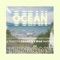 Ocean (feat. Dj Cron & Kapten) [Thatstyle Remix] - Terrone lyrics