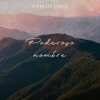Carlos Leiva - Te recuerdo