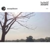 AOOAPB - วันเกิดปีนี้