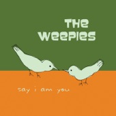 The Weepies - Take It from Me