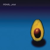 Pearl Jam - Army Reserve (Brendan O'Brien Mix)