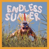 Endless Summer - Single