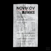 Novikov artwork