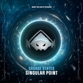 Singular Point artwork