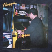 Flamingosis - Transparency