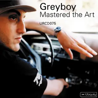 descargar álbum Greyboy - Mastered The Art