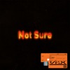 Not Sure by Lil West iTunes Track 2