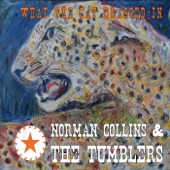 Norman Collins & the Tumblers - All I Wanted Was Roses