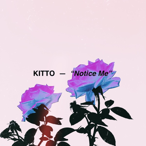 Cover art for Notice Me