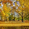 Intermission - Piece of My Heart (Piece Mix)